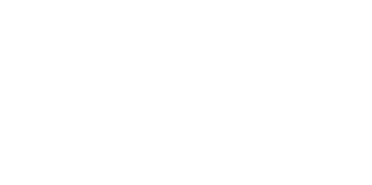 linee curve